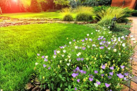 4 Common Myths About Lawn Maintenance