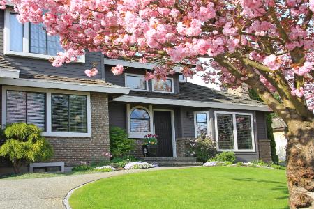 Revitalize Your Landscape: The Benefits of Spring Clean-Up Services