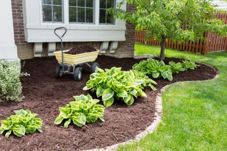 Unveiling the Benefits of Professional Mulching Services
